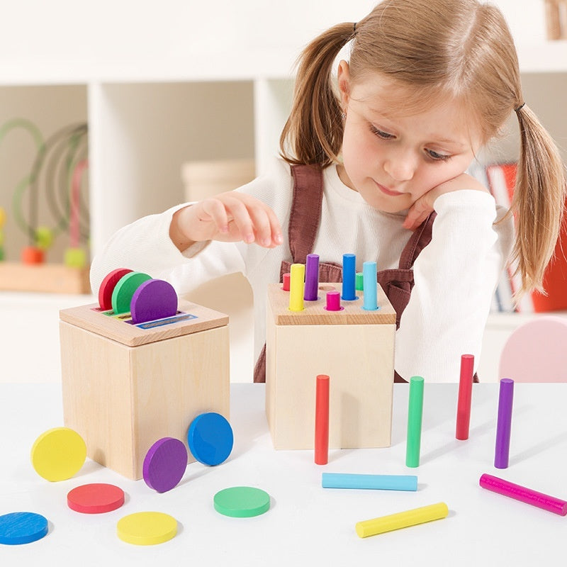 Early Childhood Color Cognitive Educational Toy Set